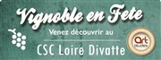 Momo + Elodie Rama | Vignoble en fête CSC Loire-Divatte Affiche