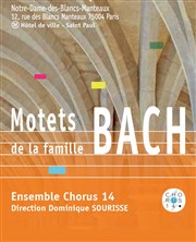 Motets de la famille Bach Eglise Notre-Dame des Blancs-Manteaux Affiche