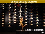 Le Cirque bleu du Vietnam Auditorium de Vaucluse Jean Moulin Affiche
