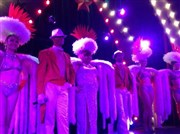 Dîner-spectacle + soirée dansante : A la folie La Figonette Affiche