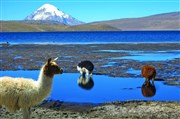 Balades autour du monde : Bolivie-Chili flânerie Andine Thtre de Tardy Affiche