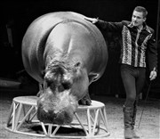 Cirque Royal : Le Royaume des animaux | - Charolles Chapiteau du Cirque Royal | - Charolles Affiche