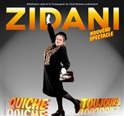 Zidani dans Quiche toujours ! Spotlight Affiche