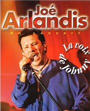 Johnny Hallyday par Joe Arlandis | Dîner-spectacle sosie La Vnus Affiche