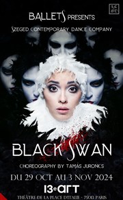 Black Swann Thtre Le 13me Art - Grande salle Affiche