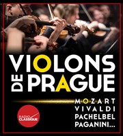Violons de Prague | Grenoble Cathdrale Notre Dame Affiche