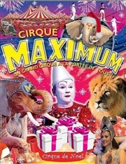 Cirque Maximum dans Le cirque de noël de Carcassonne Chapiteau Maximum : lieu 2  Carcassonne Affiche