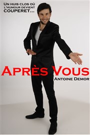 Antoine Demor dans Après-vous Thtre de la grenouille qui se marre Affiche