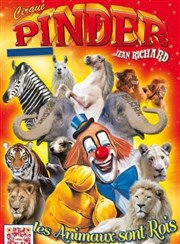 Cirque Pinder dans Les animaux sont rois | - Epernay Chapiteau Cirque Pinder  Epernay Affiche
