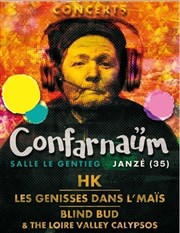 Confarnaüm : HK, Les génisses dans le maïs, Blind Bud and the Loire Valley Calypsos Salle Le Gentieg Affiche
