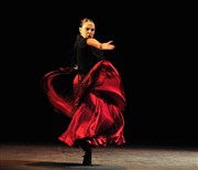 Noces de sang + Suite flamenca | Compagnie Antonio Gadès Opra de Massy Affiche