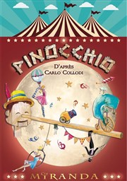 Pinocchio Thtre de la Cit Affiche
