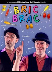 Bric et Brac Le Zygo Comdie Affiche