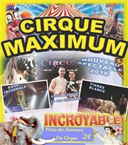 Le Cirque Maximum dans Authentique | - Aurillac Chapiteau Maximum  Aurillac Affiche