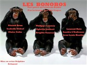 Les bonobos | de Laurent Baffie Thtre des Voraces Affiche
