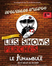 Les Shows Perchés Le Funambule Montmartre Affiche