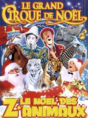 Le Cirque Medrano dans Le Grand Cirque de Noël | Le Noël des Z'animaux| - Reims Chapiteau Medrano  Reims Affiche