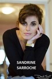Sandrine Sarroche dans Si ça ne vous dérange pas Caf thtre de la Fontaine d'Argent Affiche