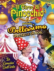 Il Circo di Pinocchio | Châteauroux Chapiteau Il Circo di Pinocchio  Chteauroux Affiche