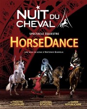 Horsedance | La Nuit du cheval 2014 Parc des expositions de Villepinte - Hall 5B Affiche