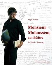Monsieur Malaussène au Théâtre Thtre Municipal de Rez Affiche