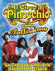 Il Circo di Pinocchio Chapiteau Il Circo di Pinocchio  Villab Affiche