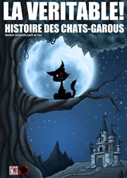 La véritable Histoire des chats garous Comdie de Grenoble Affiche