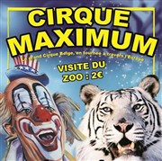 Le Cirque Maximum dans 100% cirque | - Auray Chapiteau Maximum  Auray Affiche