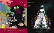 Soirée Diptyque - 2 spectacles de Cécile Marroco Thtre Comdie Odon Affiche