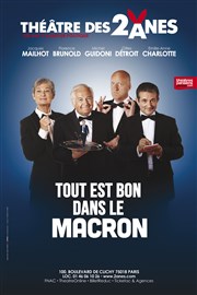 Tout est bon dans le Macron Thtre des 2 Anes Affiche