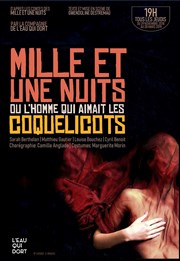 Mille et une nuits ou l'homme qui aimait les coquelicots Guichet Montparnasse Affiche