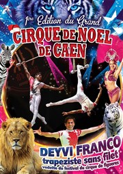 Cirque de Noël | - Caen Parc des expositions de Caen Affiche
