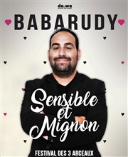Babarudy dans Sensible et Mignon | Festival des 3 Arceaux Institution Sainte Trinit Affiche