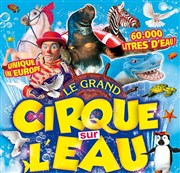 Le Cirque sur l'Eau | - Fouesnant Chapiteau Le Cirque sur l'eau  Fouesnant Affiche