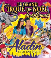 Le Grand Cirque de Noël, Aladin et les 1001 Nuits | à Rouen Chapiteau Medrano  Rouen Affiche