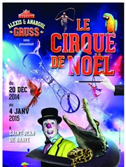 Le Cirque de Noël | Par le Cirque Alexis & Anargul Gruss Chapiteau du Cirque Alexis & Anargul Gruss  Saint Jean de Braye Affiche