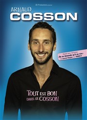 Arnaud Cosson dans Tout est bon dans le Cosson La Compagnie du Caf-Thtre - Grande Salle Affiche