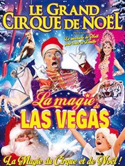 Le Grand Cirque de Noël de Bordeaux | - La Magie de Las Vegas Chapiteau Mdrano  Bordeaux Affiche