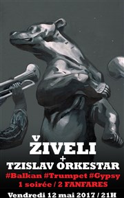 Ziveli Orkestar + Tzi slav Studio de L'Ermitage Affiche