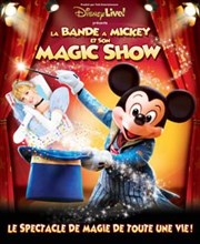 Disney Live ! | La bande à Mickey et son Magic Show Le Grand Rex Affiche