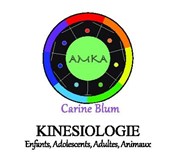 Découvrir la kinésiologie Cabinet de Kinsiologie Affiche