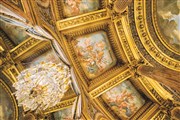 Rameau : Les paladins Opra Royal - Chteau de Versailles Affiche