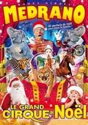 Le Cirque Medrano dans Le Grand Cirque de Noël | - Lyon Chapiteau Medrano  Lyon Affiche