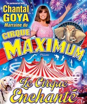 Le Cirque Maximum dans Le Cirque Enchanté | - Aix en Provence Chapiteau Maximum  Aix en Provence Affiche