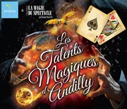 les Talents Magiques d'Andilly Complexe Polyvalent d'Andilly Affiche