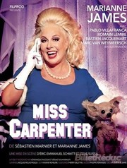Miss Carpenter | avec Marianne James Salle Paul Eluard Affiche