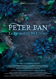 Peter Pan, la prophétie de l'oubli Espace Magnan Affiche