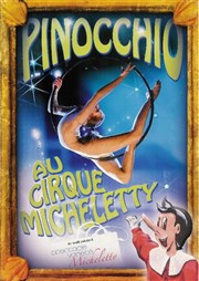 Pinocchio Cirque Micheletty Affiche