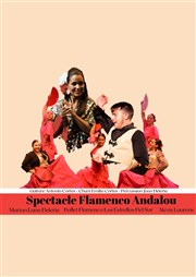 Spectacle Flamenco Andalous Arnes du Grau du Roi Affiche
