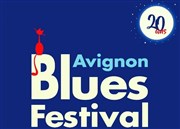 Kenny Neal / Hamilton Loomis | Avignon Blues Festival 2017 Salle polyvalente Montfavet Affiche